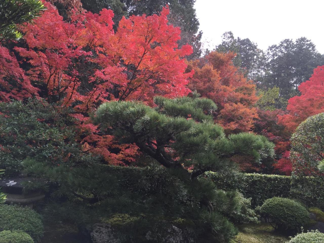 Ryokan Yamazaki Kyoto Eksteriør billede